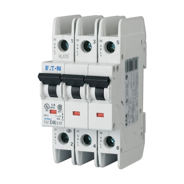 Miniature circuit breaker (MCB), 25 A, 3p, characteristic: C image 6