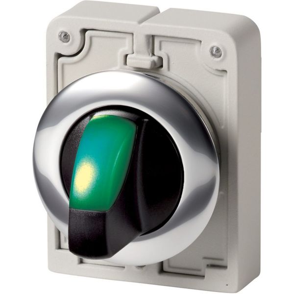 Illuminated selector switch actuator, RMQ-Titan, With thumb-grip, maintained, 3 positions, green, Metal bezel image 5