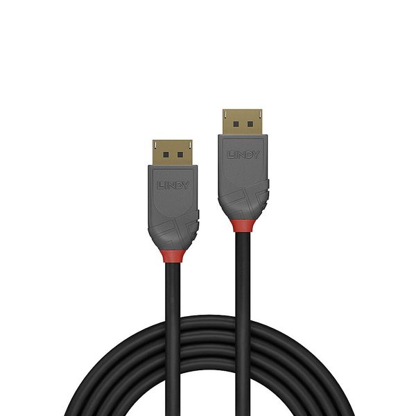 0.5m DisplayPort 1.4 Cable, Anthra Line DP Male to Male image 2