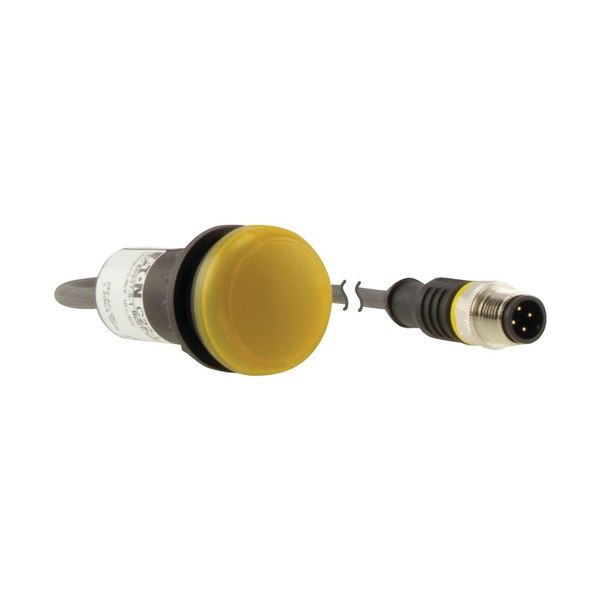 Indicator light, Flat, Cable (black) with M12A plug, 4 pole, 0.5 m, Lens yellow, LED white, 24 V AC/DC image 10