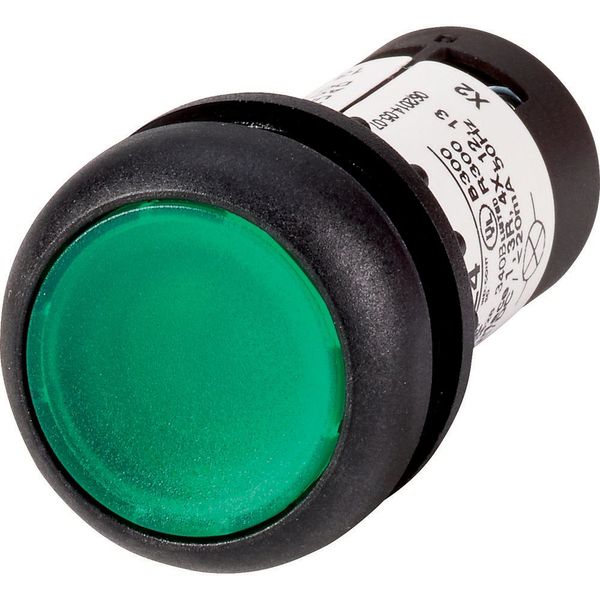 Illuminated pushbutton actuator, Flat, momentary, 1 N/O, Screw connection, LED green, green, Blank, 24 V AC/DC, Bezel: black image 3