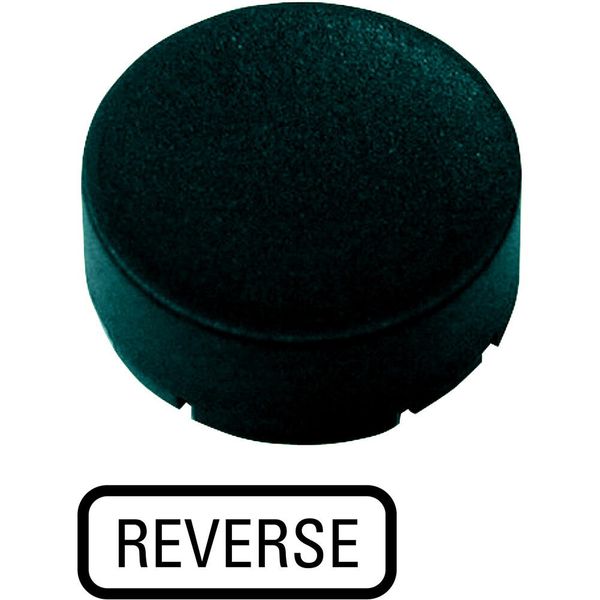 Button plate, raised black, REVERSE image 5