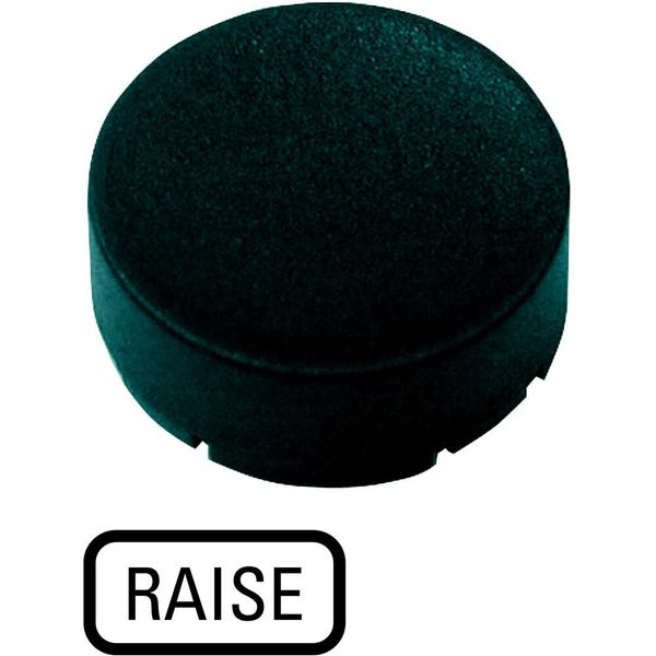 Button plate, raised black, RAISE image 5