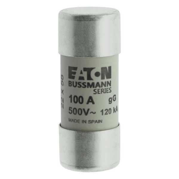 Fuse-link, LV, 100 A, AC 500 V, 22 x 58 mm, gL/gG, IEC image 17