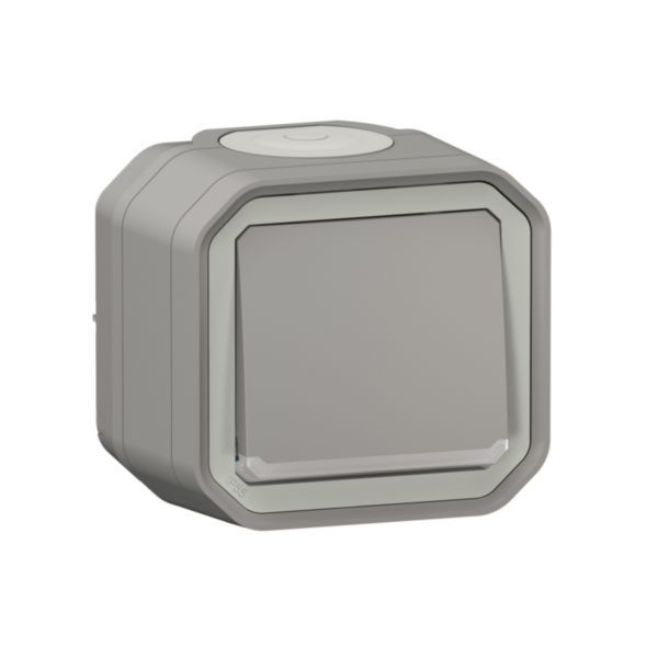 Plexo 10A waterproof switch or two-way indicator supplied complete with indicator light for gray surface mounting image 1