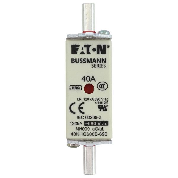 Fuse-link, LV, 40 A, AC 690 V, NH000, gL/gG, IEC, dual indicator, live gripping lugs image 20