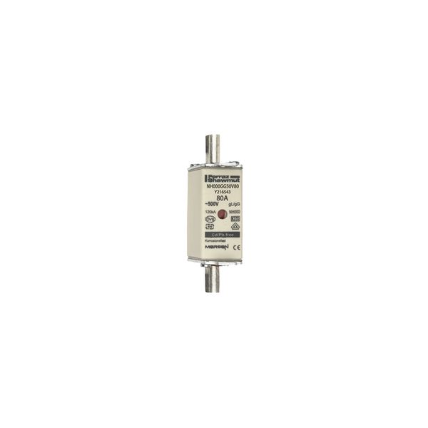 Fuse-link NH000 gG 500VAC 80A live tags Double indicator image 1