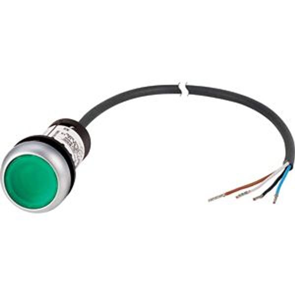 Illuminated pushbutton actuator, Flat, momentary, 1 N/O, Cable (black) with non-terminated end, 4 pole, 3.5 m, LED green, green, Blank, 24 V AC/DC, Be image 2