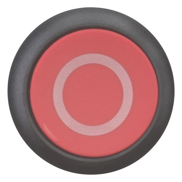 Pushbutton, RMQ-Titan, Flat, momentary, red, inscribed, Bezel: black image 12