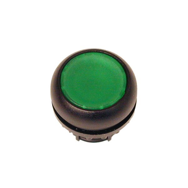 Pushbutton, RMQ-Titan, Flat, momentary, green, Blank, Bezel: black image 1