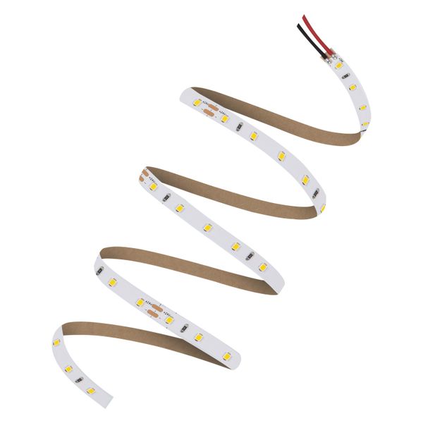 LED STRIP V 2000 -2000/830/5 image 1