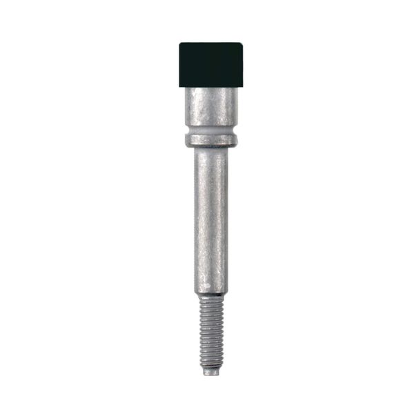 Socket (terminal), Plug-in depth: 10 mm, Depth: 31.7 mm image 1