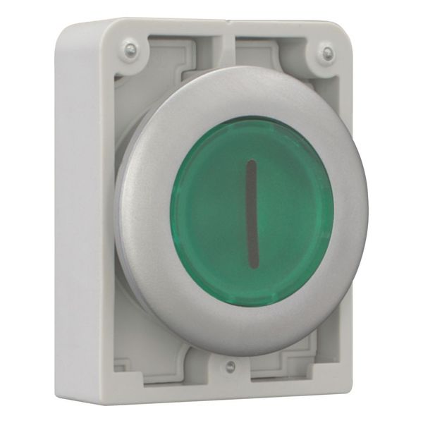 Illuminated pushbutton actuator, RMQ-Titan, Flat, momentary, green, inscribed 1, Metal bezel image 11