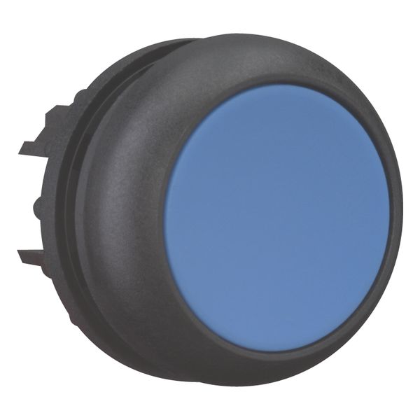 Pushbutton, RMQ-Titan, Flat, maintained, Blue, Blank, Bezel: black image 7