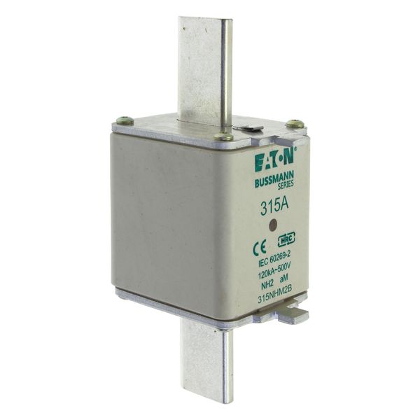 Fuse-link, low voltage, 315 A, AC 500 V, NH2, aM, IEC, dual indicator image 10