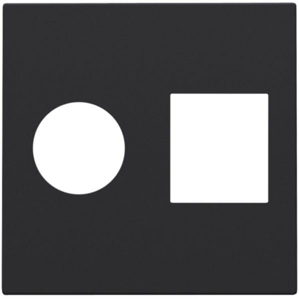 Finishing set for single coaxial connection and network connection RJ4 image 2