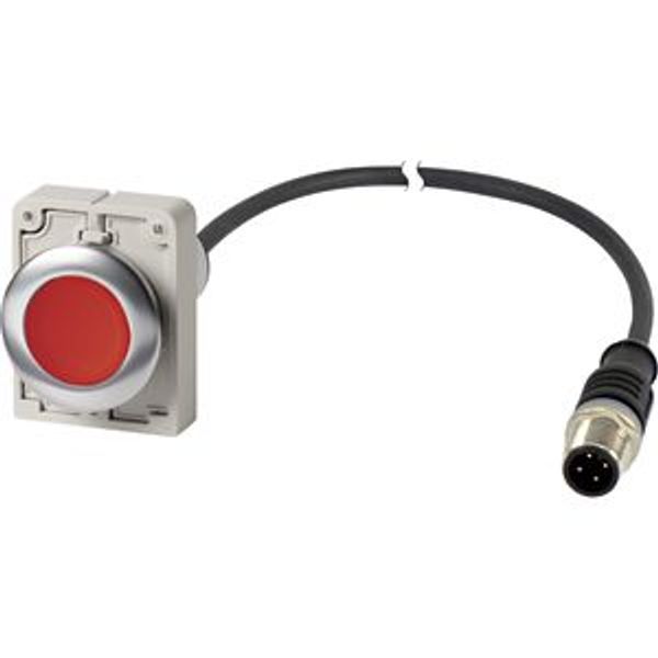 Illuminated pushbutton actuator, Flat, maintained, 1 NC, Cable (black) with M12A plug, 4 pole, 1 m, LED Red, red, Blank, 24 V AC/DC, Metal bezel image 2