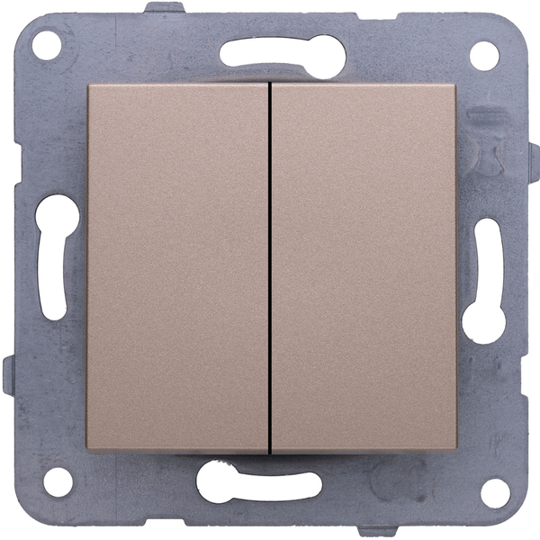 Karre Plus-Arkedia Bronze Two Gang Switch image 1