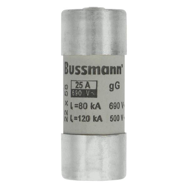 Fuse-link, LV, 25 A, AC 690 V, 22 x 58 mm, gL/gG, IEC, with striker image 6