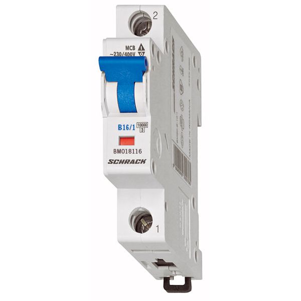 Miniature Circuit Breaker (MCB) B, 40A, 1-pole, 6kA image 1