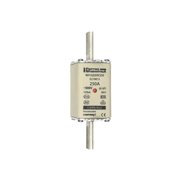 Fuse-link NH1 gG 500VAC 250A live tags Double indicator image 2