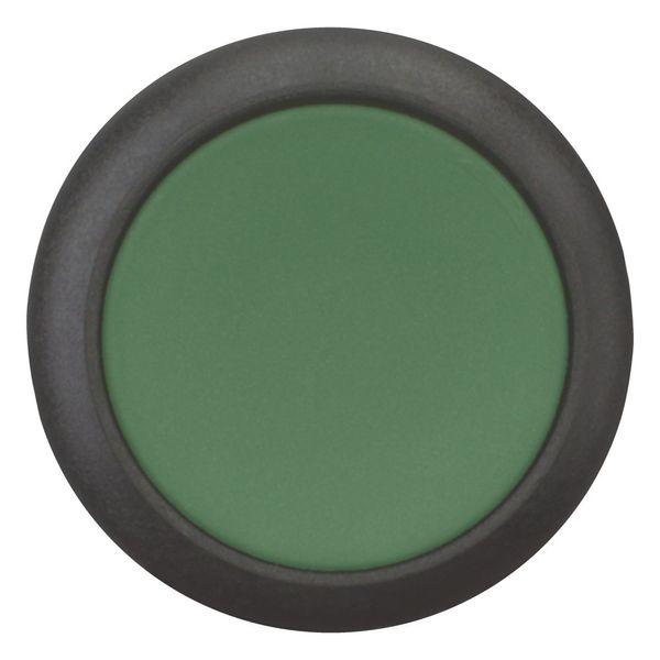 Pushbutton, Flat, momentary, 2 N/O, Screw connection, green, Blank, Bezel: black image 9