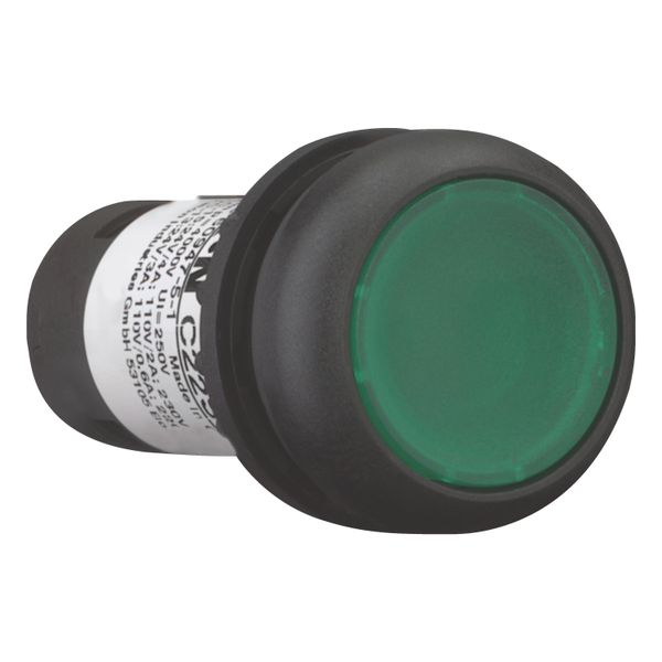 Illuminated pushbutton actuator, Flat, momentary, 1 N/O, Screw connection, LED green, green, Blank, 230 V AC, Bezel: black image 11