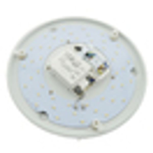 Apollo 300 LED Wall- & ceiling lumin, 17W, 3000K IP44 RA 80+ image 4