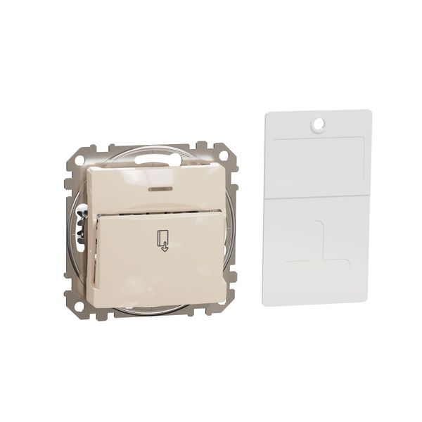 Sedna Design & Elements, Key card Switch 10AX, beige image 4