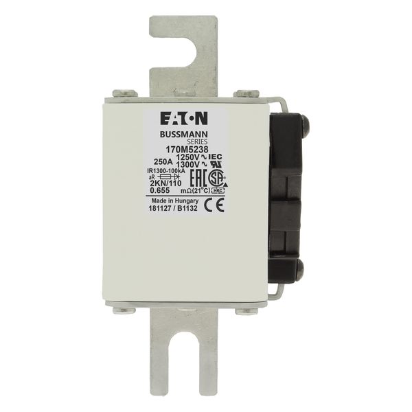 Fuse-link, high speed, 250 A, AC 1250 V, size 2, 61 x 77 x 138 mm, aR, DIN, IEC, single indicator image 16