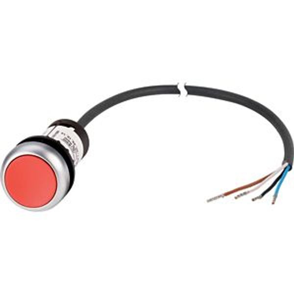 Pushbutton, classic, flat, maintained, 1 N/C, red, cable (black) with non-terminated end, 4 pole, 1 m image 5