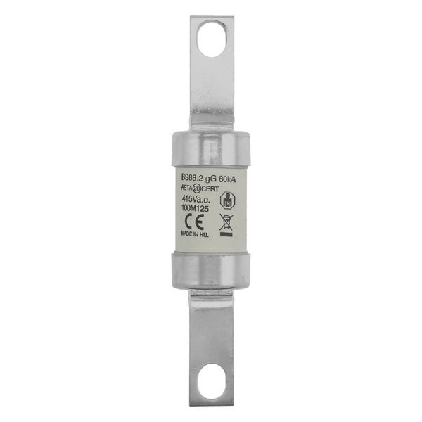 Fuse-link, LV, 100 A, AC 415 V, BS88/B1, 26 x 126 mm, gM, BS, 100M125 image 21