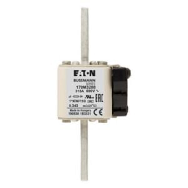 FUSE 315A 690V 1*KW/110 AR UC image 13