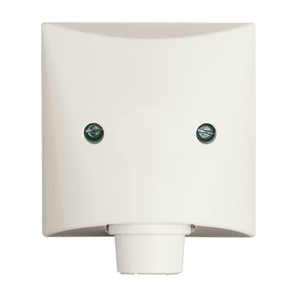 2138-32 CoverPlates (partly incl. Insert) Flush-mounted, water-protected, special connecting devices White image 5
