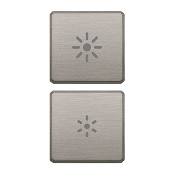 2 buttons Flat regulation symbol nickel image 1