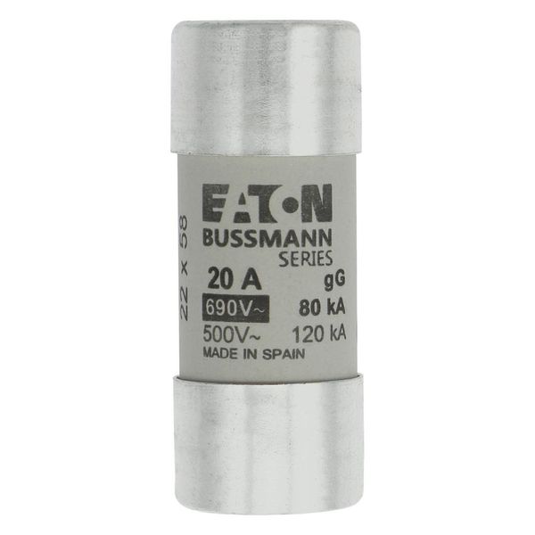 Fuse-link, LV, 20 A, AC 690 V, 22 x 58 mm, gL/gG, IEC image 5