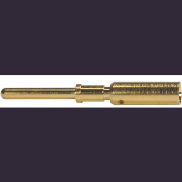 M12 Power Male Contact Crimp 1,5mm² image 1