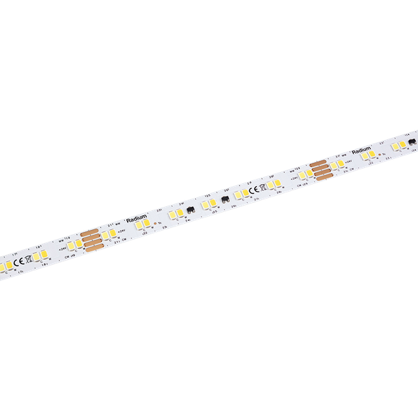 LED Star Strip 2000 TW, LED STRIP 2000 S TWW/24V 50M image 2