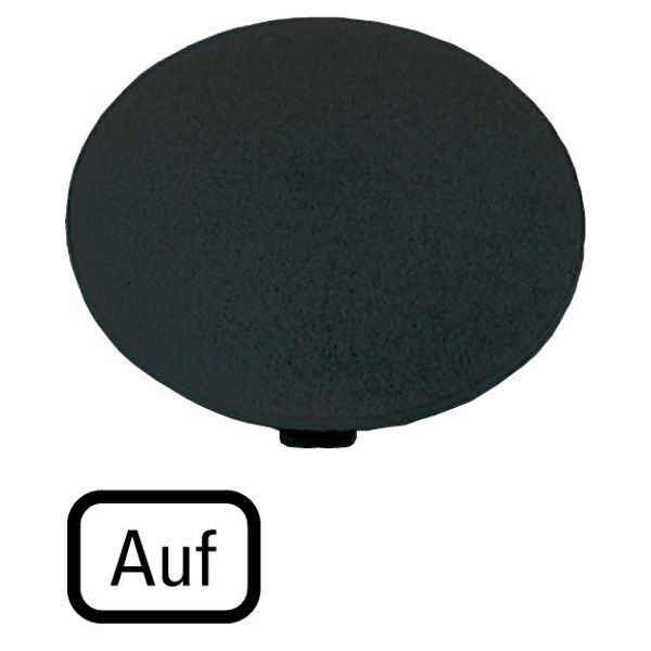 Button plate, mushroom black, UP image 1