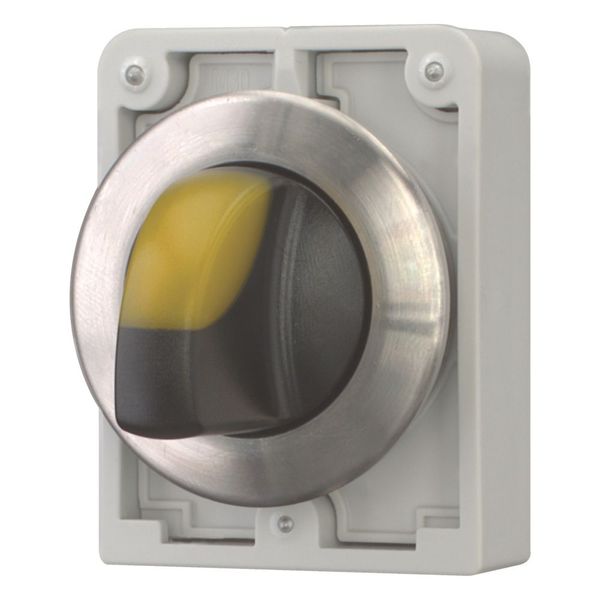 Illuminated selector switch actuator, RMQ-Titan, with thumb-grip, maintained, 3 positions, yellow, Front ring stainless steel image 11