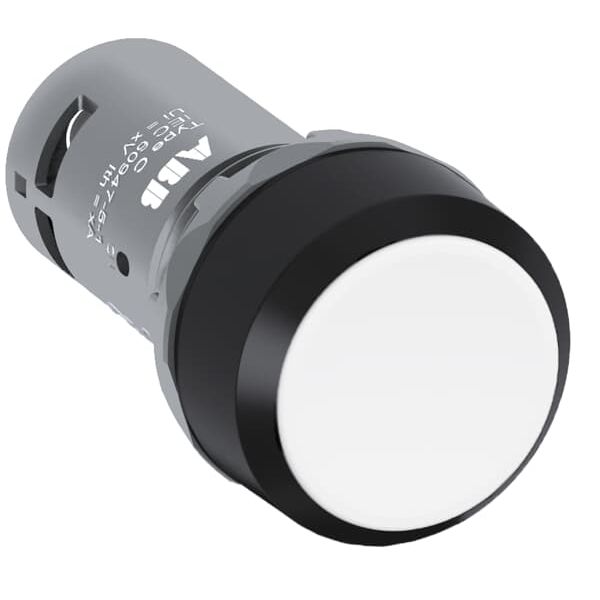 CP1-10W-01 Pushbutton image 2