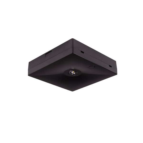 Starlet QUAD LED SC 350 A 2H AT [BLK] image 1