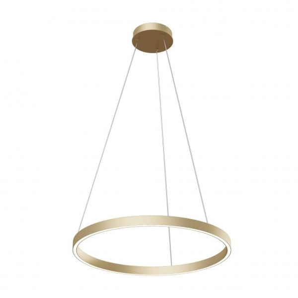 Modern Rim Pendant Lamp Brass image 1