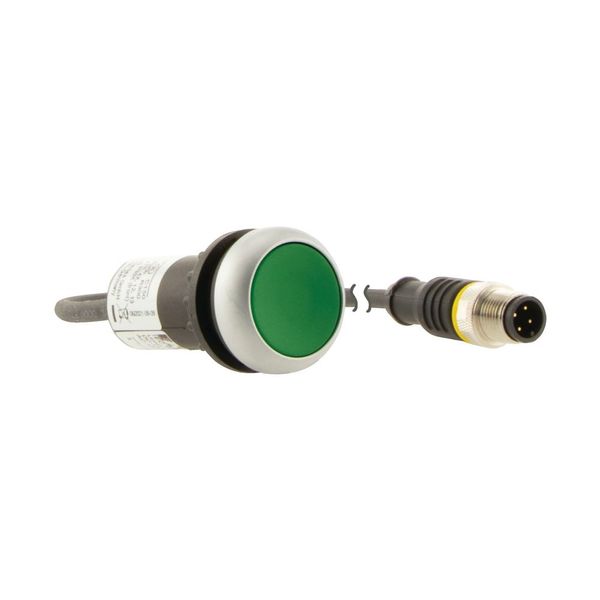 Pushbutton, Flat, momentary, 1 N/O, Cable (black) with M12A plug, 4 pole, 0.5 m, green, Blank, Bezel: titanium image 16