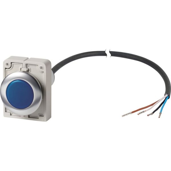 Indicator light, Flat, Cable (black) with non-terminated end, 4 pole, 1 m, Lens Blue, LED Blue, 24 V AC/DC image 4