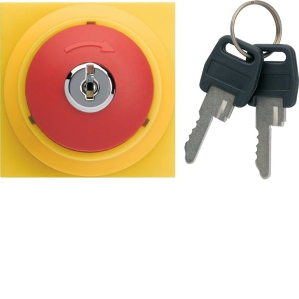 GALLERY EMERGENCY SWITCH WITH KEY 16A 2 ST. image 1