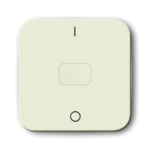2544-212 CoverPlates (partly incl. Insert) carat® White image 2