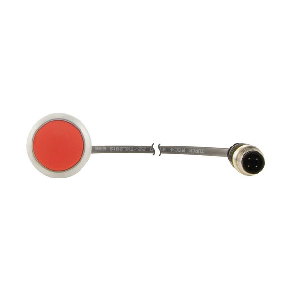 Pushbutton, Flat, momentary, 1 NC, Cable (black) with M12A plug, 4 pole, 0.5 m, red, Blank, Bezel: titanium image 7