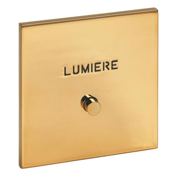 67792 Art d'Arnould universe Epure illuminated push button 1 position with Lumière marking - mirror gold image 2