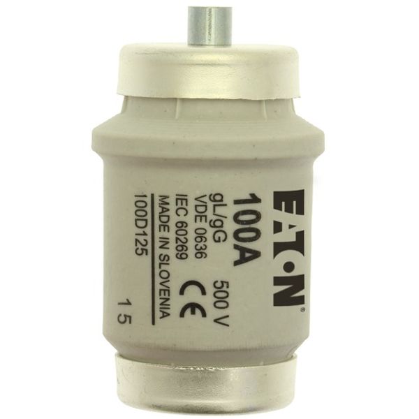 Fuse-link, LV, 100 A, AC 500 V, D4, gL/gG, IEC, time-delay image 2